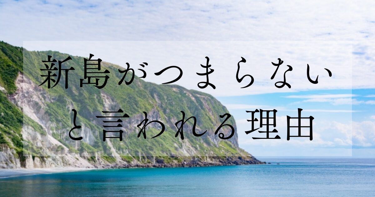 新島がつまらないと言われる理由