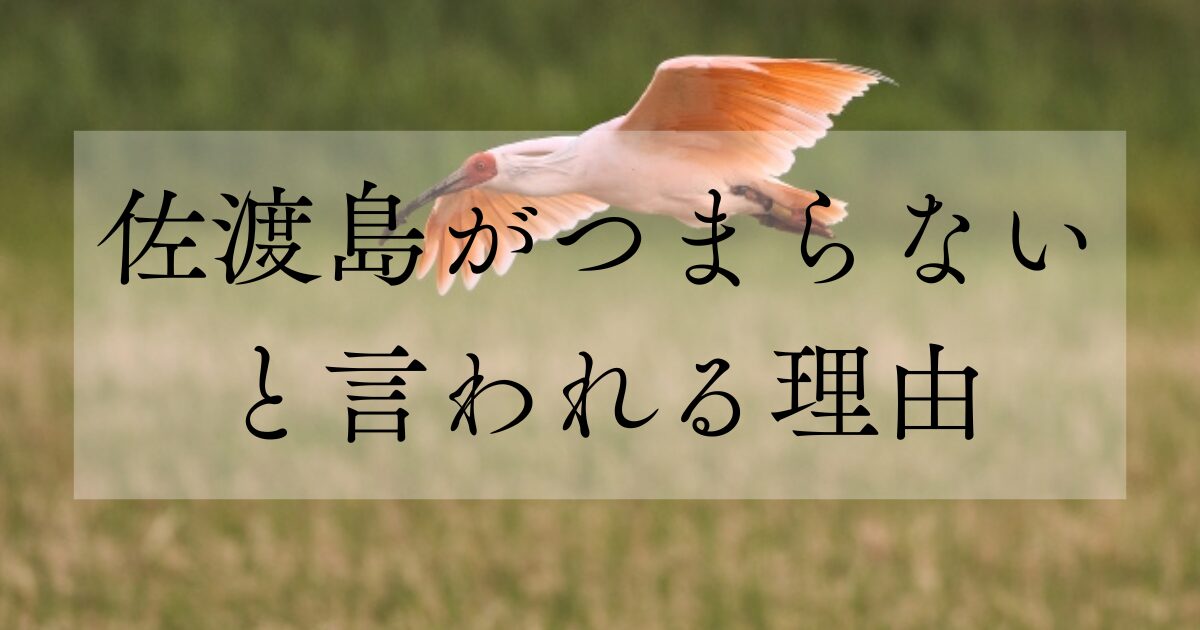 佐渡島がつまらないと言われる理由